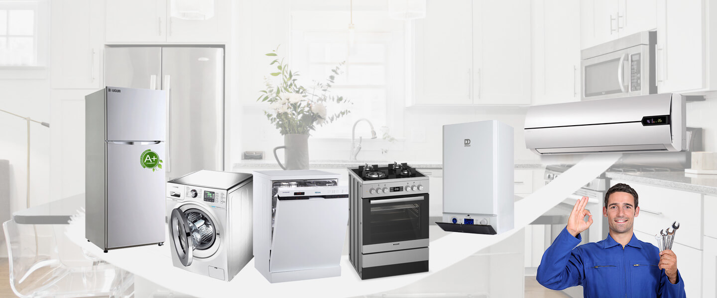 Çamlıhemşin Protherm Servisi